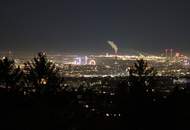 Wunderschönes Penthouse mit Pool und prachtvollem Blick, Nähe Kahlenberg