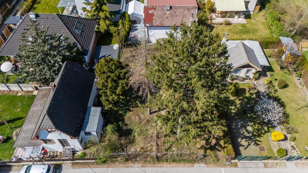 "Grundstück statt Sparbuch - perfekte Lage nahe der Lobau"