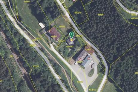 Privatverkauf : Wohnhaus aus den 70er-Jahren im Grünland, gelegen im idyllischen Wechselgebiet (Provisionsfrei), Haus-kauf, 138.000,€, 8243 Hartberg-Fürstenfeld