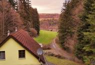 Haus in absoluter Ruhelage für Naturliebhaber I ca. 160m² Nutzfläche und rund 1000m² Garten I Bucklige Welt I 360° Rundgang