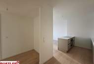 SILVESTER MIT FERNBLICK