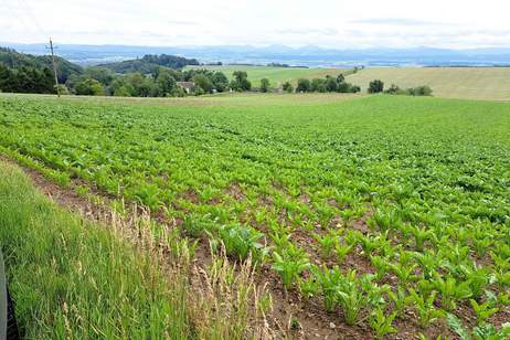 ACKER OBERGRABEN - ZUM VERKAUF, Grund und Boden-kauf, 490.000,€, 3386 Sankt Pölten(Land)