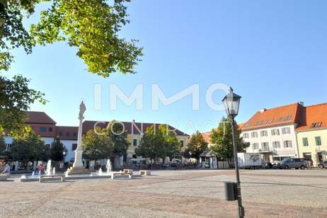 Schöne, großzügige Büro- oder Praxisräume im 1. OG im Stadtzentrum, Gewerbeobjekt-miete, 1.400,00,€, 8280 Hartberg-Fürstenfeld