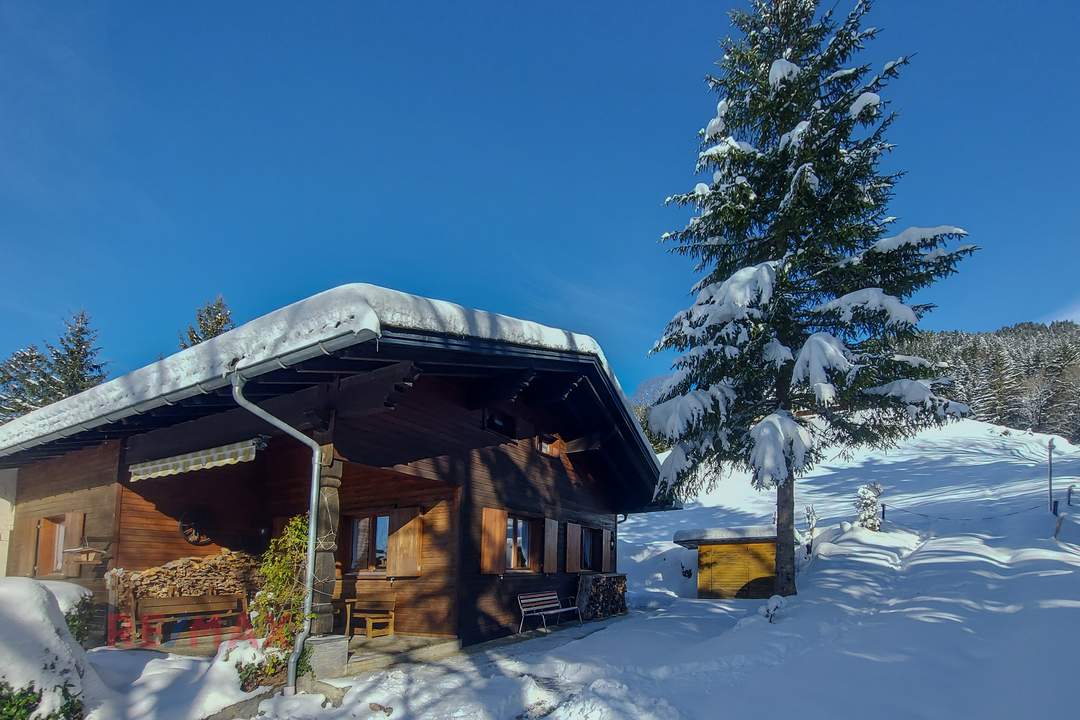 Ihr Rückzugsort in der Bergidylle - Ferienhaushälfte in Sibratsgfäll