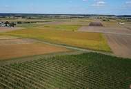 Weingut mit ca. 4 ha Weingärten im Südburgenland!