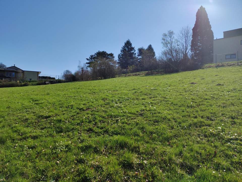 Entfalten Sie Ihren Wohntraum auf diesem Grundstück