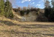 Großes Land- &amp; Forstanwesen – Zwei Wohneinheiten, Wald und Wiesen