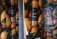 Großzügiges Wohnen mit Gartenidylle in Graz - Luxuriöses Haus mit 9 Zimmern für 850.000,00 €!