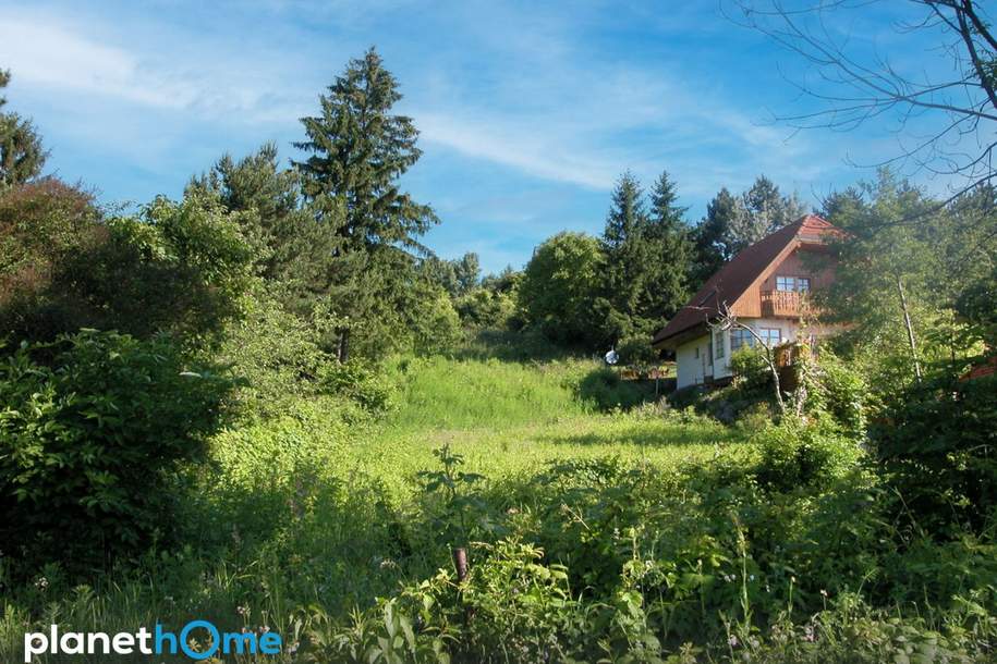 An der Wiener Stadtgrenze – zwei nebeneinanderliegende Grundstücke in Toplage bei Hagenbrunn!, Grund und Boden-kauf, 990.000,€, 2102 Korneuburg