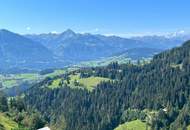 Alpin-Chalet in wunderschöner Alleinlage