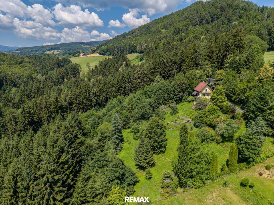 4.979 m² Grund mit Fernblick – Wohnhaus &amp; Bauplatz-Potenzial