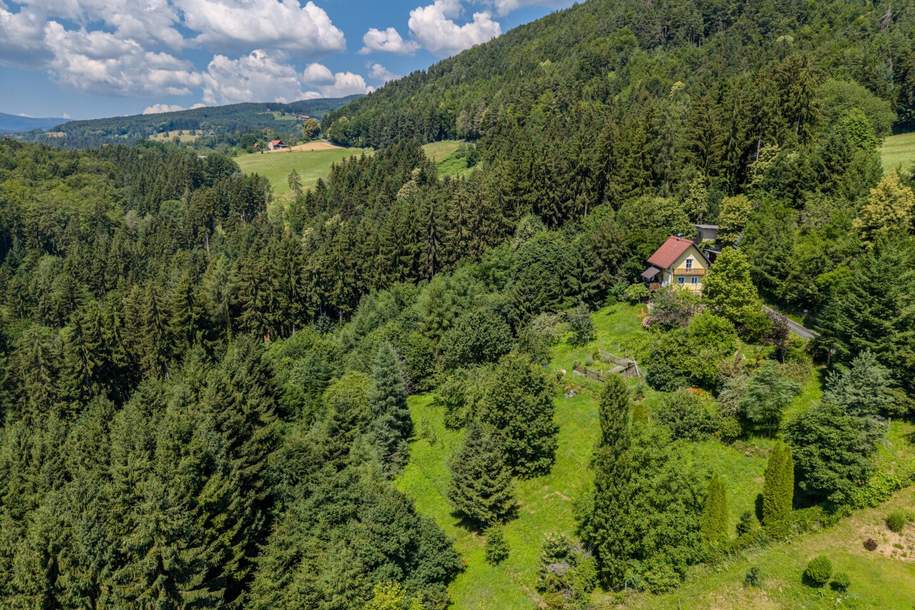 4.979 m² Grund mit Fernblick – Wohnhaus & Bauplatz-Potenzial, Haus-kauf, 349.000,€, 8524 Deutschlandsberg
