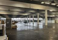 Moderne Halle mit 7 m Höhe und LKW-Zufahrt – ca. 4.445 m² im 21. Bezirk. Flexibel Nutzbar