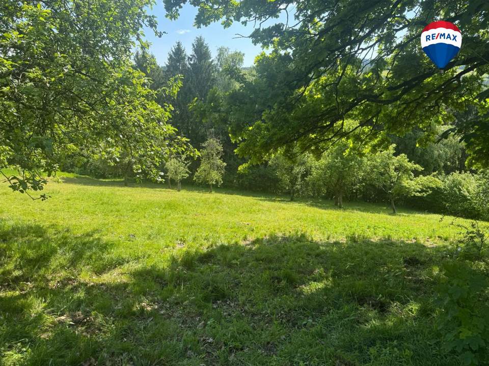 Grünland- und Waldgrundstück in Haibach ob der Donau