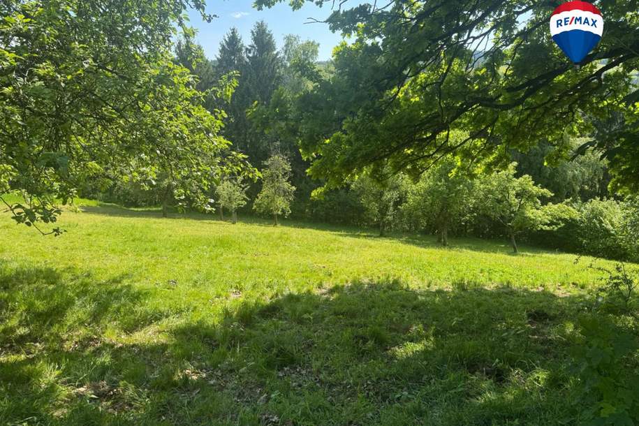 Grünland- und Waldgrundstück in Haibach ob der Donau, Grund und Boden-kauf, 9.900,€, 4083 Eferding