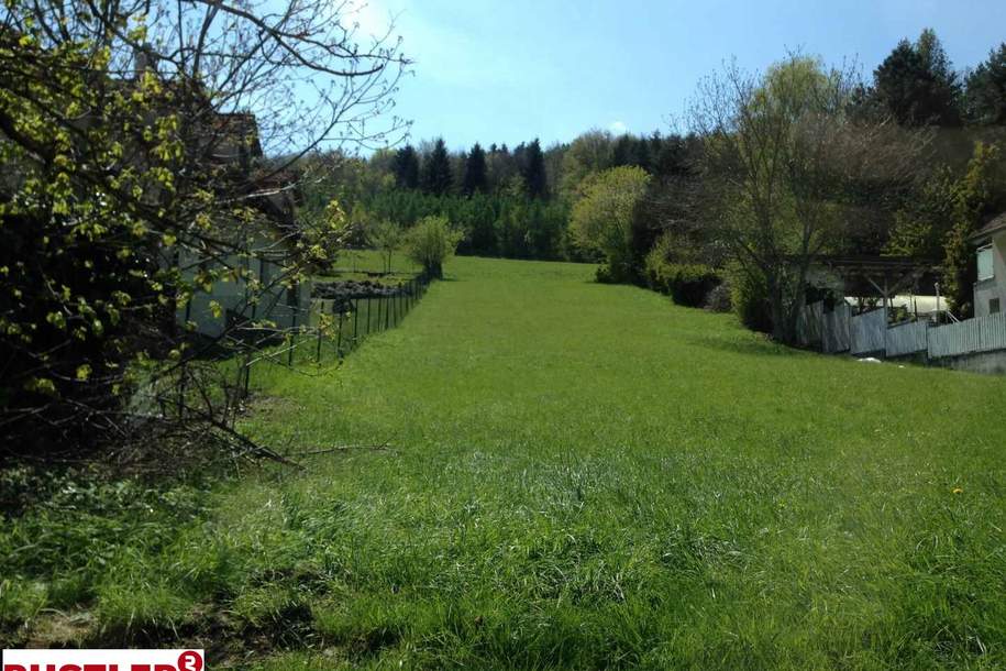 Grundstück mit Weitblick unweit von Mödling, Grund und Boden-kauf, 449.000,€, 2371 Mödling