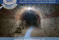 Romantische Kellerjuwele mit sonniger Terrasse und Naturgarten!