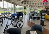 Kooperation gesucht - Teilanmietung - Moderner KFZ Betrieb in Mistelbach