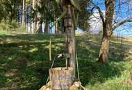 Landschaftsteich mit kleinem Waldanteil (Provisionsfrei)