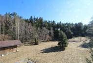 SONNENLAGE - Wohnhaus auf 4700 m² Grund inkl. Entwicklungsplan