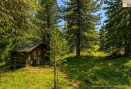 ZWEITWOHNSITZTAUGLICH! Grundstück in idyllischer Lage auf der Turracher Höhe