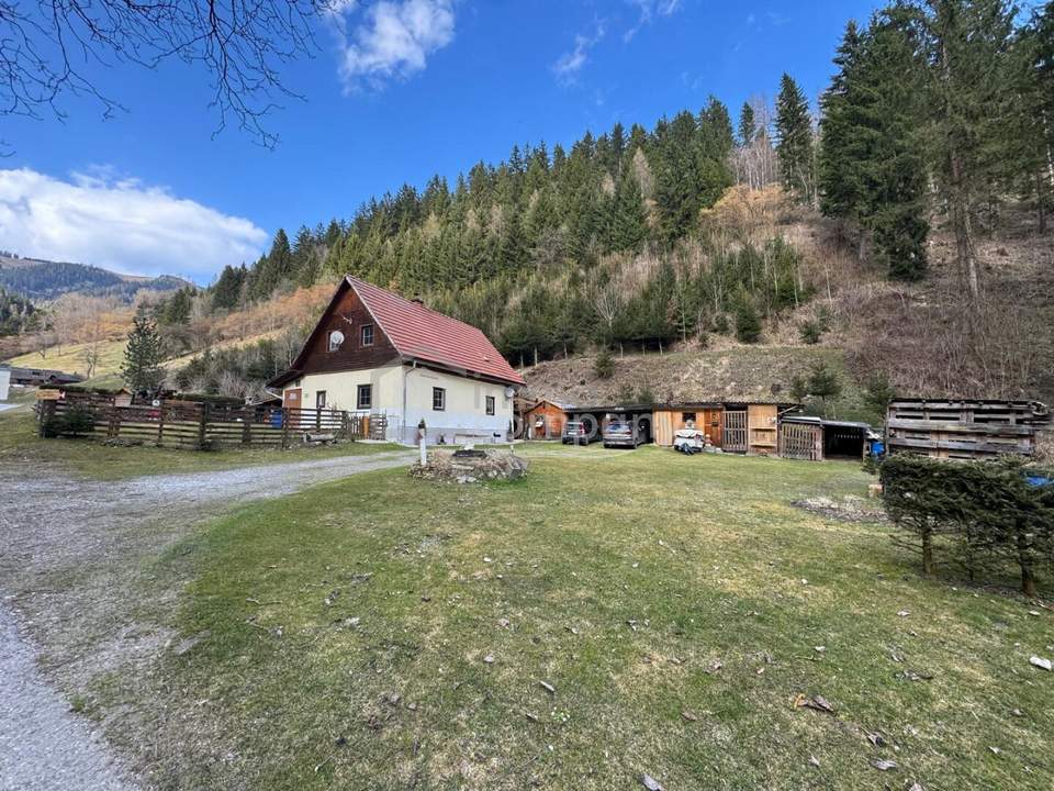 Rückzugsort in Alleinlage – Wohnen mit Ruhe, Natur und Freiraum