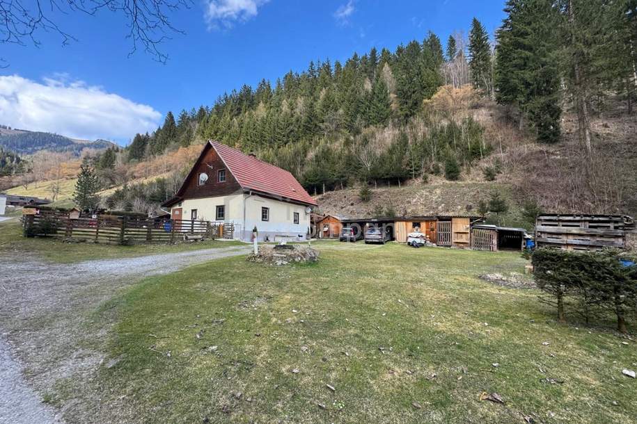 Rückzugsort in Alleinlage – Wohnen mit Ruhe, Natur und Freiraum, Haus-kauf, 149.000,€, 8712 Leoben