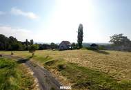 Wohnen wo andere Urlaub machen - Grundstücke am Graßnitzberg in ruhiger Lage zu verkaufen