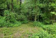 NEUER PREIS! IDYLLISCHE ALLEINLAGE IM NATURSCHUTZGEBIET