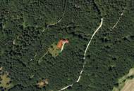 Traumanwesen in Alleinlage – 12.000 m² für Naturliebhaber und Pferdehalter