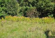 Grundstück in Imst – kompakte Größe, viele Optionen!