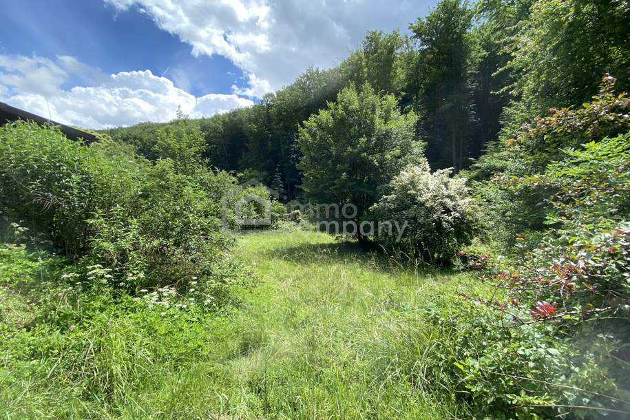 Sonniges Grundstück mit Teilungsoption und Altbestand in Weidlingbach, Grund und Boden-kauf, 800.000,€, 3400 Tulln