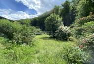 Sonniges Grundstück mit Teilungsoption und Altbestand in Weidlingbach