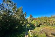 Gemütliches Landhaus im Weinviertel auf ca. 995m² Grundstück – ideal für Naturliebhaber!