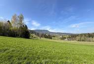 Sonniges Baugrundstück in Toplage – Graz in unmittelbarer Nähe!