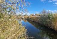 Exklusives Wohnen in der Inselwelt Jois - Direkter Seezugang!