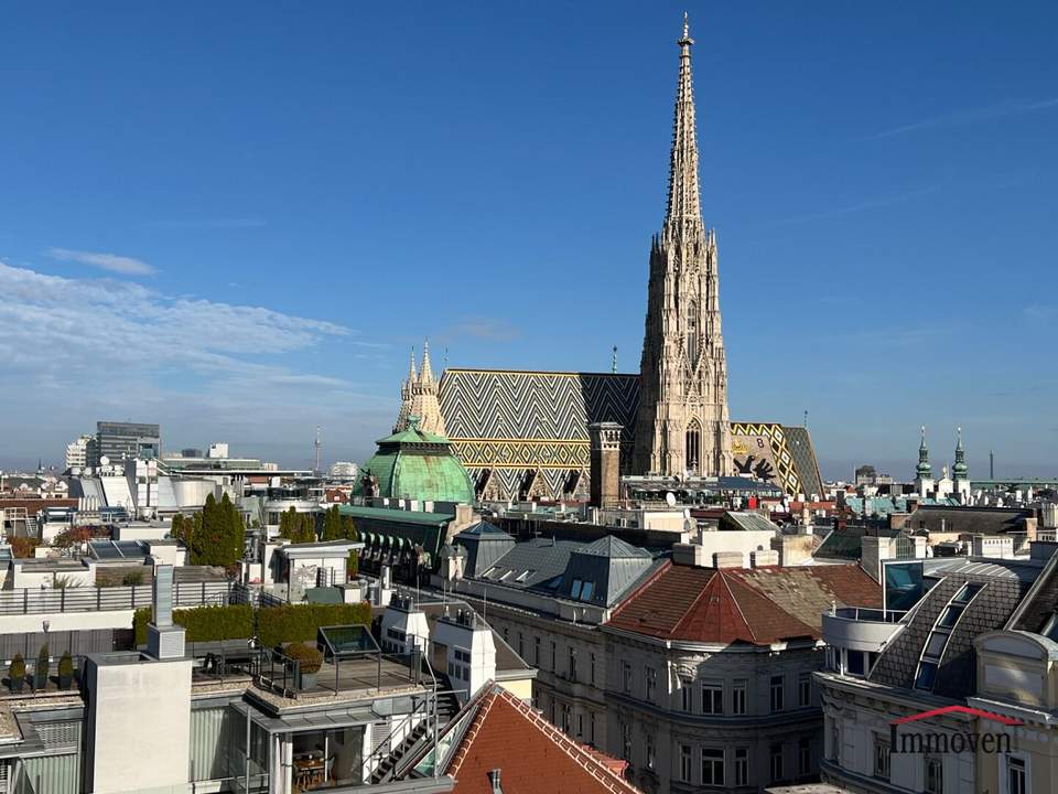 Moderne Maisonettewohnung im Dachgeschoss mit großer Terrasse und einzigartigem Ausblick auf den Stephansplatz