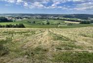 Bad Waltersdorf: Weinberge, Ackerflächen und Wald für experimentierfreudige Winzer oder Landwirte mit Vision