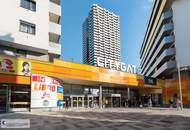 MÖBLIERTE 50M² MIT 55M² ECKTERRASSE IM LEOPOLD-TOWER IM CITY GATE