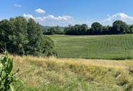 Vielseitiges Grundstück mit Landwirtschaftsfläche & Wald im Naturschutzgebiet!