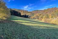Großes an Bauland grenzendes Grünland-Grundstück bei Emmersdorf!