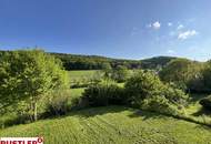 Seltenes Domizil im Grünen mit Waldblick – Gehobenes Wohnen mit Spa-Oase und großzügigem Garten