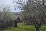 Gepflegtes Ein- Zweifamilienhaus in guter Lage