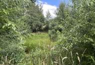 Bad Waltersdorf: Weinberge, Ackerflächen und Wald für experimentierfreudige Winzer oder Landwirte mit Vision