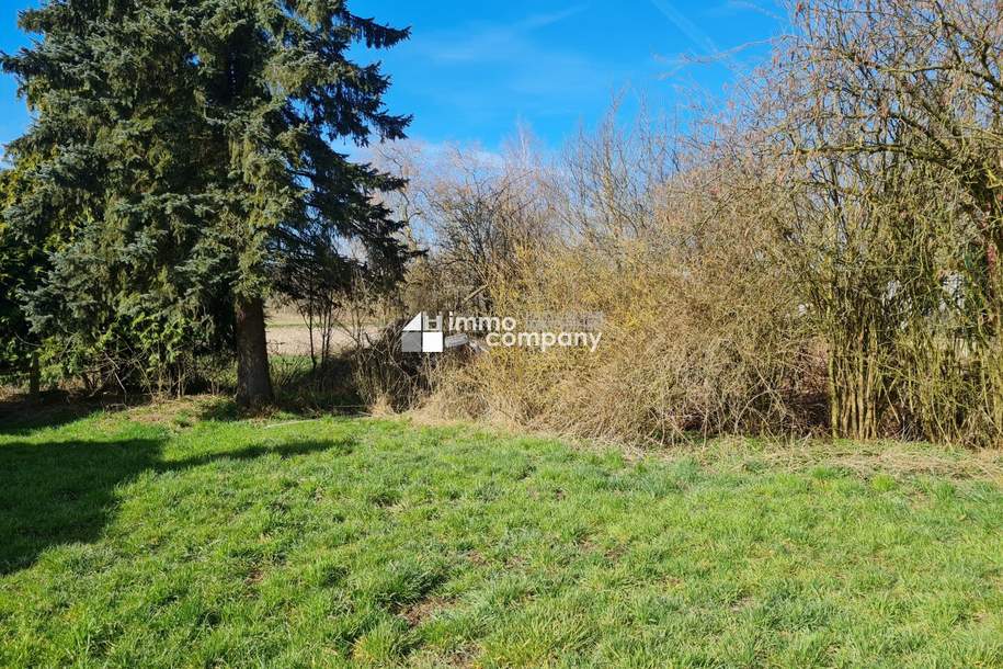 Gunskirchen : Grosses Grundstück in angenehmer Streusiedlung 4 Einheiten möglich !, Grund und Boden-kauf, 350.000,€, 4623 Wels-Land