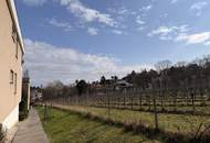 Krottenbachstraße - 3 Zimmer Neubau mit Loggia und Garage zu vermieten