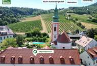 WEINBERGE UND DONAU _ Hervorragend sanierte Wohnungen im „Freihof“ in begehrter Lage inkl. Küche (Baurecht)