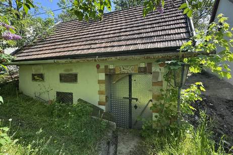 Weinkeller mit Freifläche und Weingarten – Ihr Projekt für nur 9.990 €!, Grund und Boden-kauf, 9.990,€, 2263 Gänserndorf
