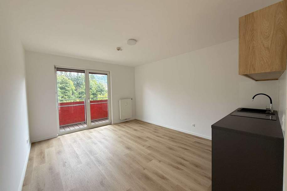Günstige Kleinwohnungen mit Balkon in der Nähe von Werk VI, Wohnung-miete, 366,00,€, 8605 Bruck-Mürzzuschlag