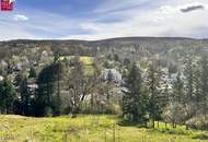 Traumhaftes Hanggrundstück in Kierling, Klosterneuburg – sonnig &amp; ruhig gelegen – Ihr Traum vom Eigenheim beginnt hier!